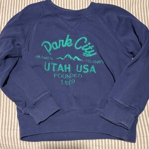 Crewcuts Blue Graphic Kids Sweatshirt
